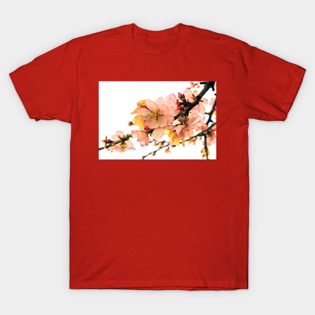 Blossom  branches T-Shirt by piksimp